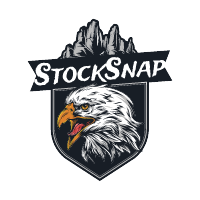 StockSnap - Get all the latest updates of the stocks